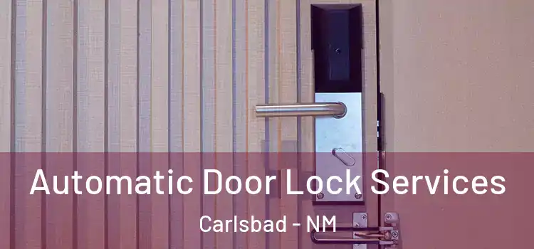 Automatic Door Lock Services Carlsbad - NM