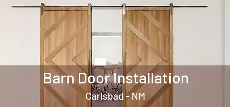Barn Door Installation Carlsbad - NM