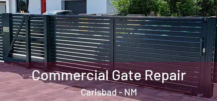 Commercial Gate Repair Carlsbad - NM