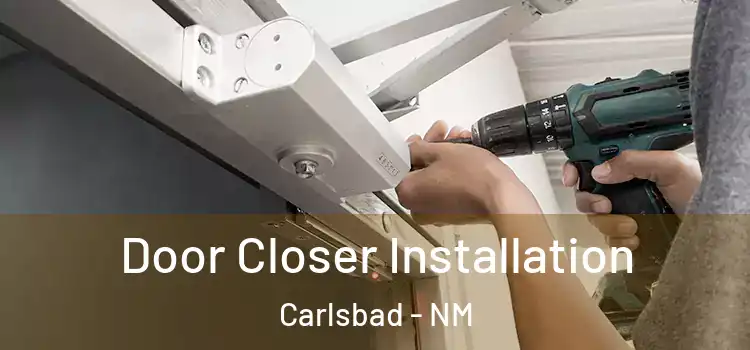 Door Closer Installation Carlsbad - NM