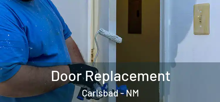 Door Replacement Carlsbad - NM