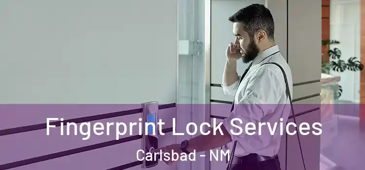 Fingerprint Lock Services Carlsbad - NM