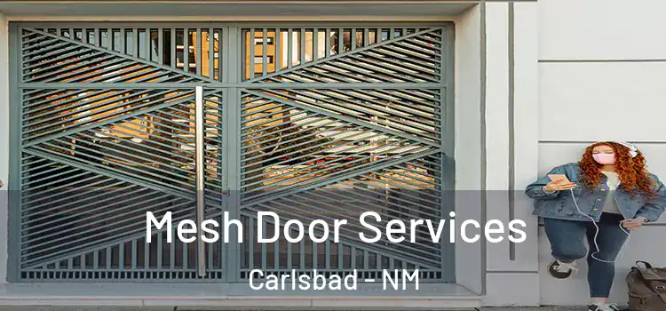 Mesh Door Services Carlsbad - NM