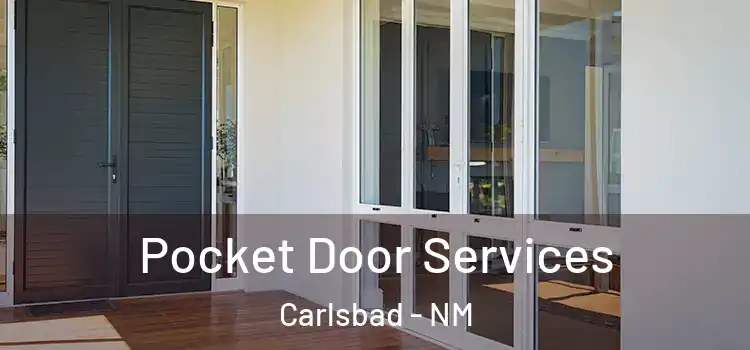 Pocket Door Services Carlsbad - NM